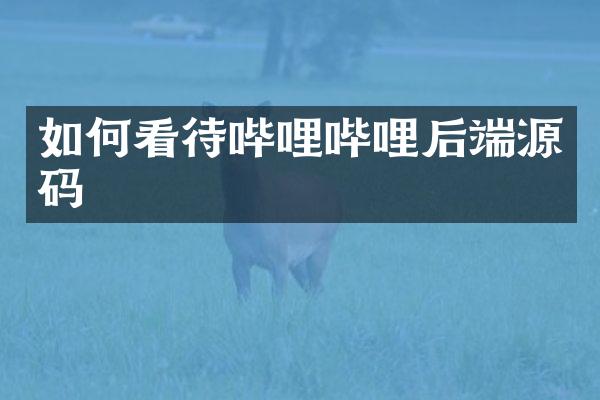如何看待哔哩哔哩后端源码