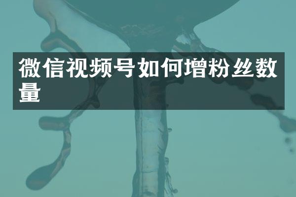 微信视频号如何增粉丝数量