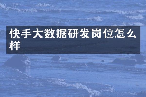 快手大数据研发岗位怎么样