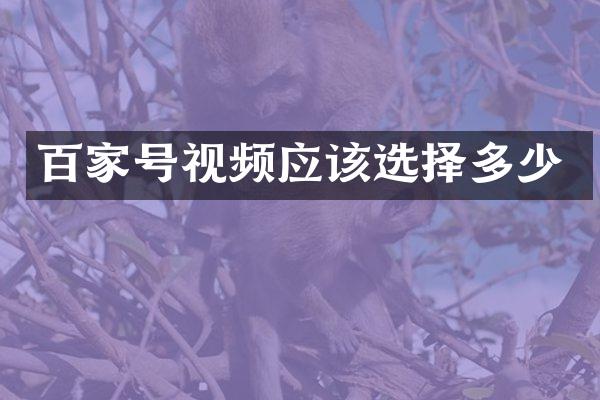 百家号视频应该选择多少