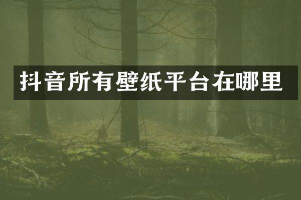 抖音所有壁纸平台在哪里