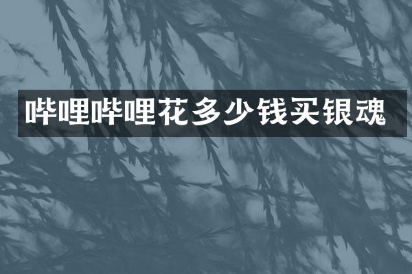 哔哩哔哩花多少钱买银魂