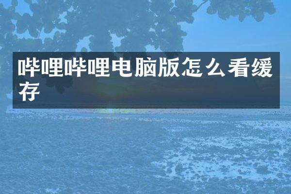 哔哩哔哩电脑版怎么看缓存
