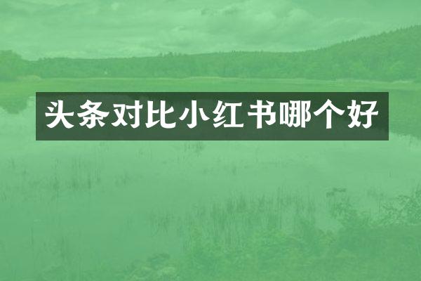 头条对比小红书哪个好