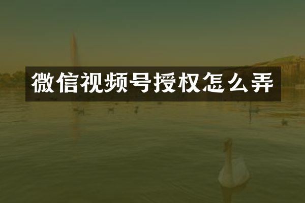 微信视频号授权怎么弄