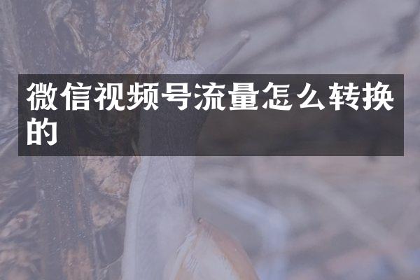 微信视频号流量怎么转换的