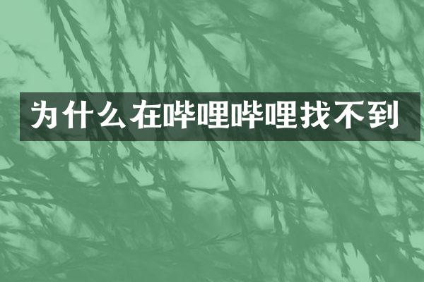 为什么在哔哩哔哩找不到