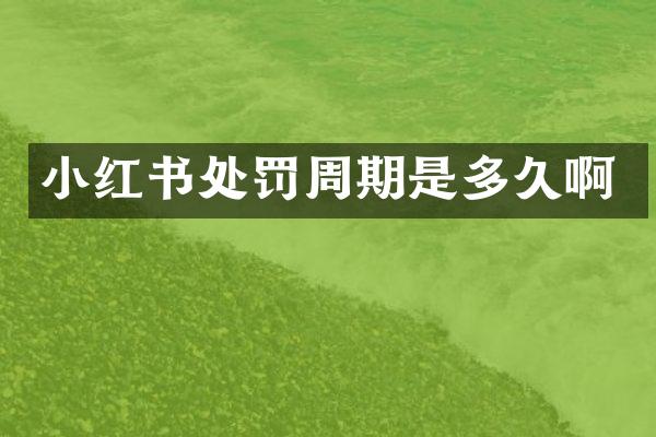 小红书处罚周期是多久啊