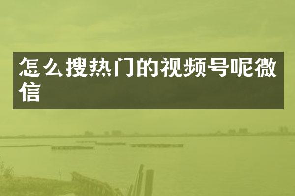 怎么搜热门的视频号呢微信