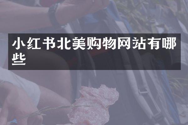 小红书北美购物网站有哪些