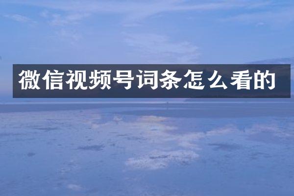 微信视频号词条怎么看的