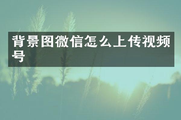 背景图微信怎么上传视频号