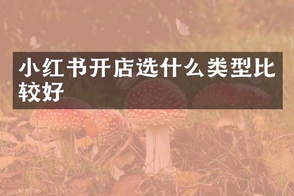 小红书开店选什么类型比较好