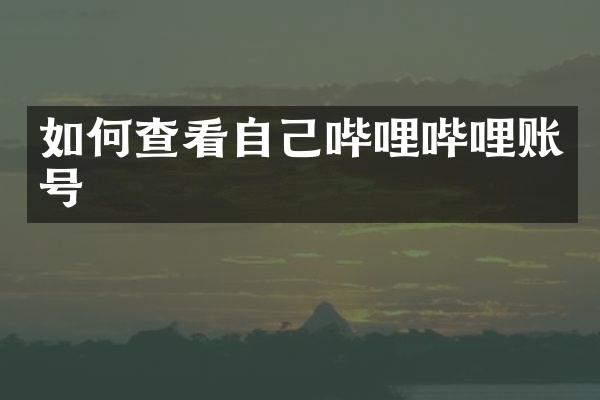 如何查看自己哔哩哔哩账号