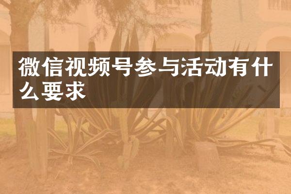 微信视频号参与活动有什么要求