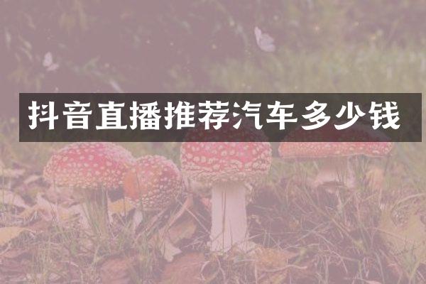 抖音直播推荐汽车多少钱