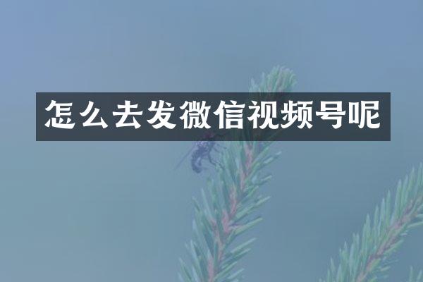 怎么去发微信视频号呢