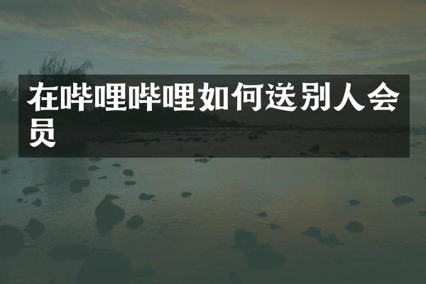 在哔哩哔哩如何送别人会员