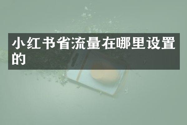 小红书省流量在哪里设置的