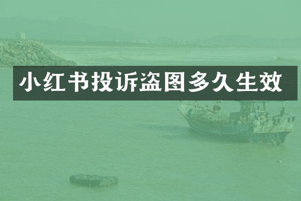 小红书投诉盗图多久生效
