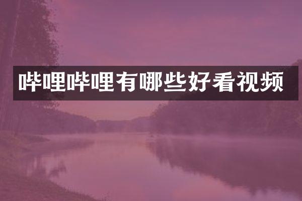 哔哩哔哩有哪些好看视频