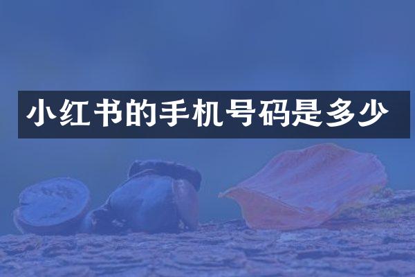 小红书的手机号码是多少