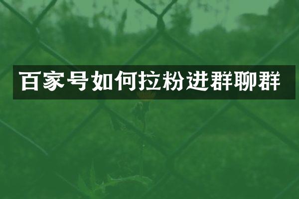 百家号如何拉粉进群聊群