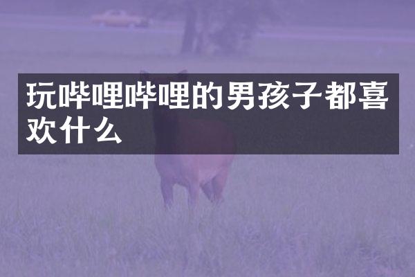 玩哔哩哔哩的男孩子都喜欢什么