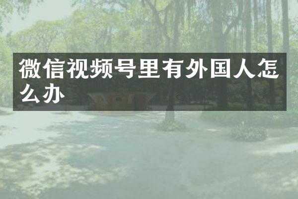 微信视频号里有外国人怎么办