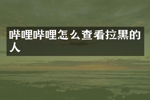 哔哩哔哩怎么查看拉黑的人