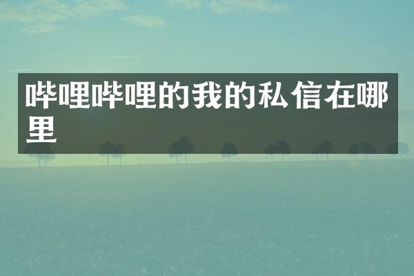 哔哩哔哩的我的私信在哪里