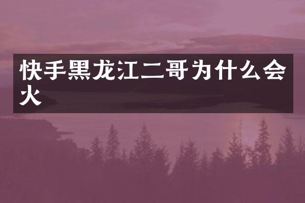 快手黑龙江二哥为什么会火
