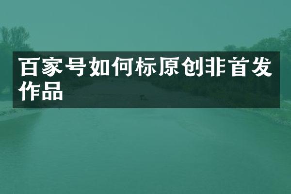 百家号如何标原创非首发作品