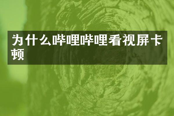 为什么哔哩哔哩看视屏卡顿