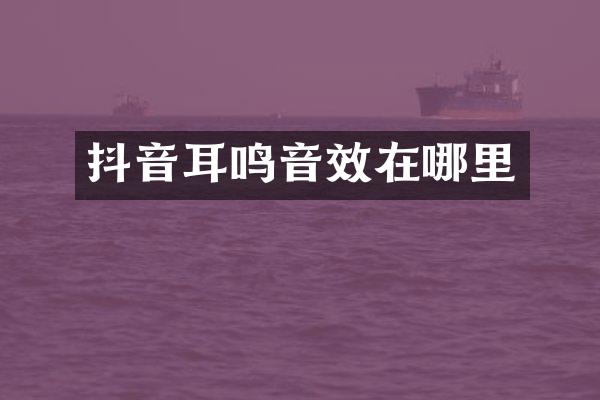 抖音耳鸣音效在哪里