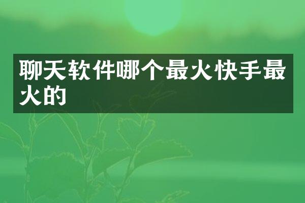 聊天软件哪个最火快手最火的