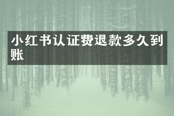 小红书认证费退款多久到账