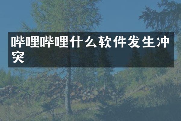 哔哩哔哩什么软件发生冲突
