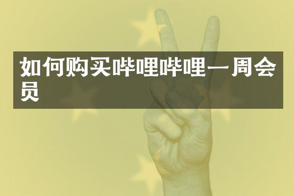 如何购买哔哩哔哩一周会员
