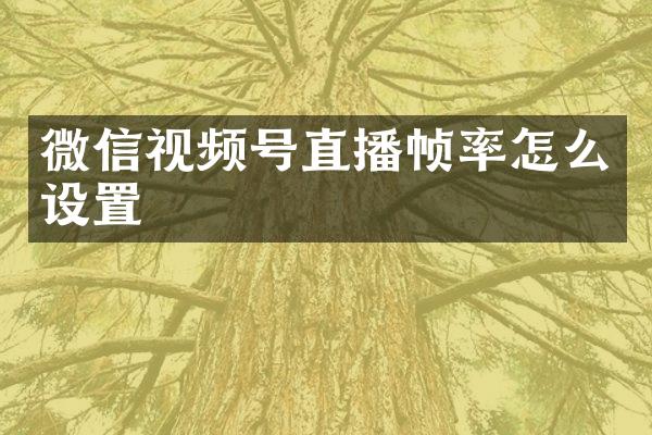 微信视频号直播帧率怎么设置