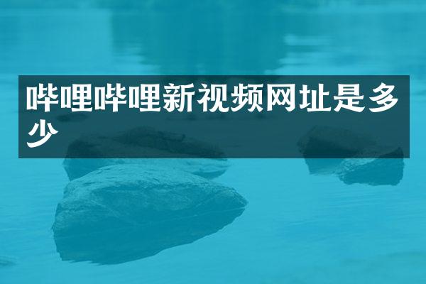 哔哩哔哩新视频网址是多少