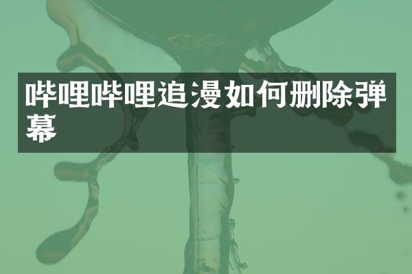 哔哩哔哩追漫如何删除弹幕