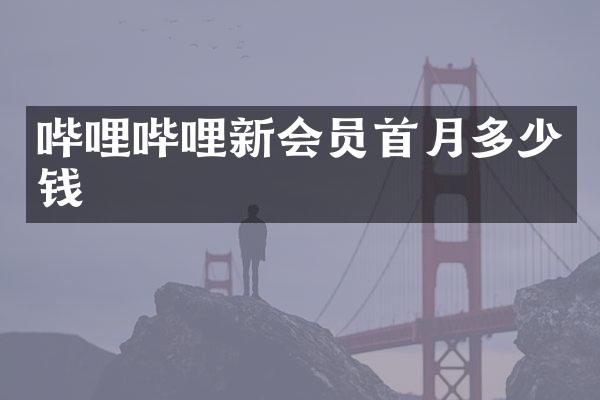 哔哩哔哩新会员首月多少钱