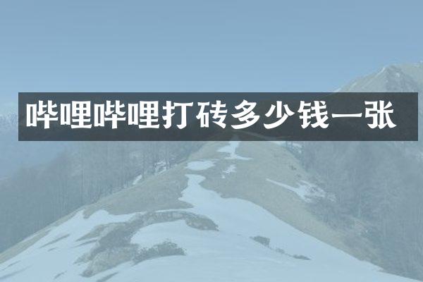 哔哩哔哩打砖多少钱一张
