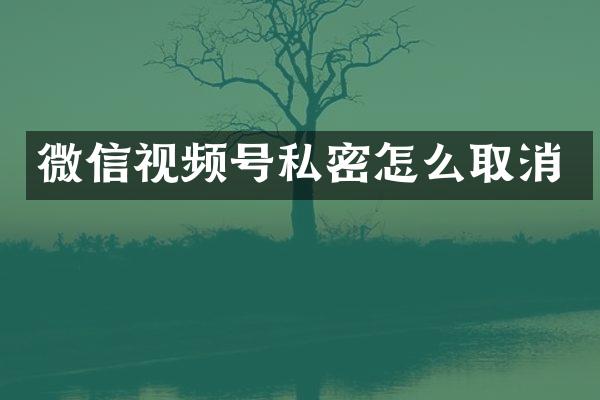 微信视频号私密怎么取消