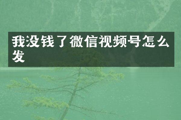 我没钱了微信视频号怎么发