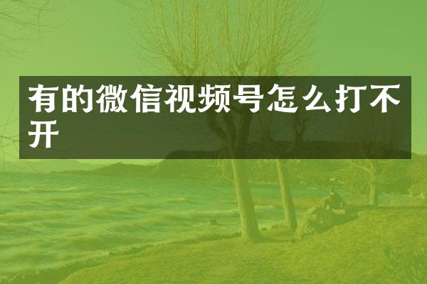 有的微信视频号怎么打不开