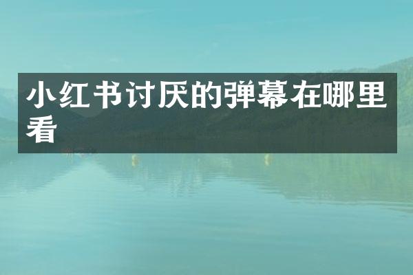 小红书讨厌的弹幕在哪里看