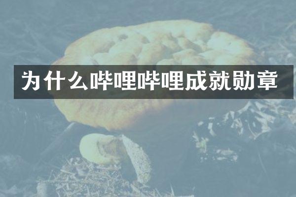 为什么哔哩哔哩成就勋章