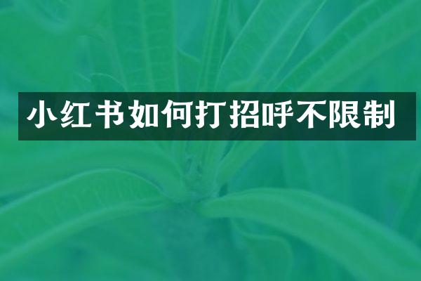 小红书如何打招呼不限制